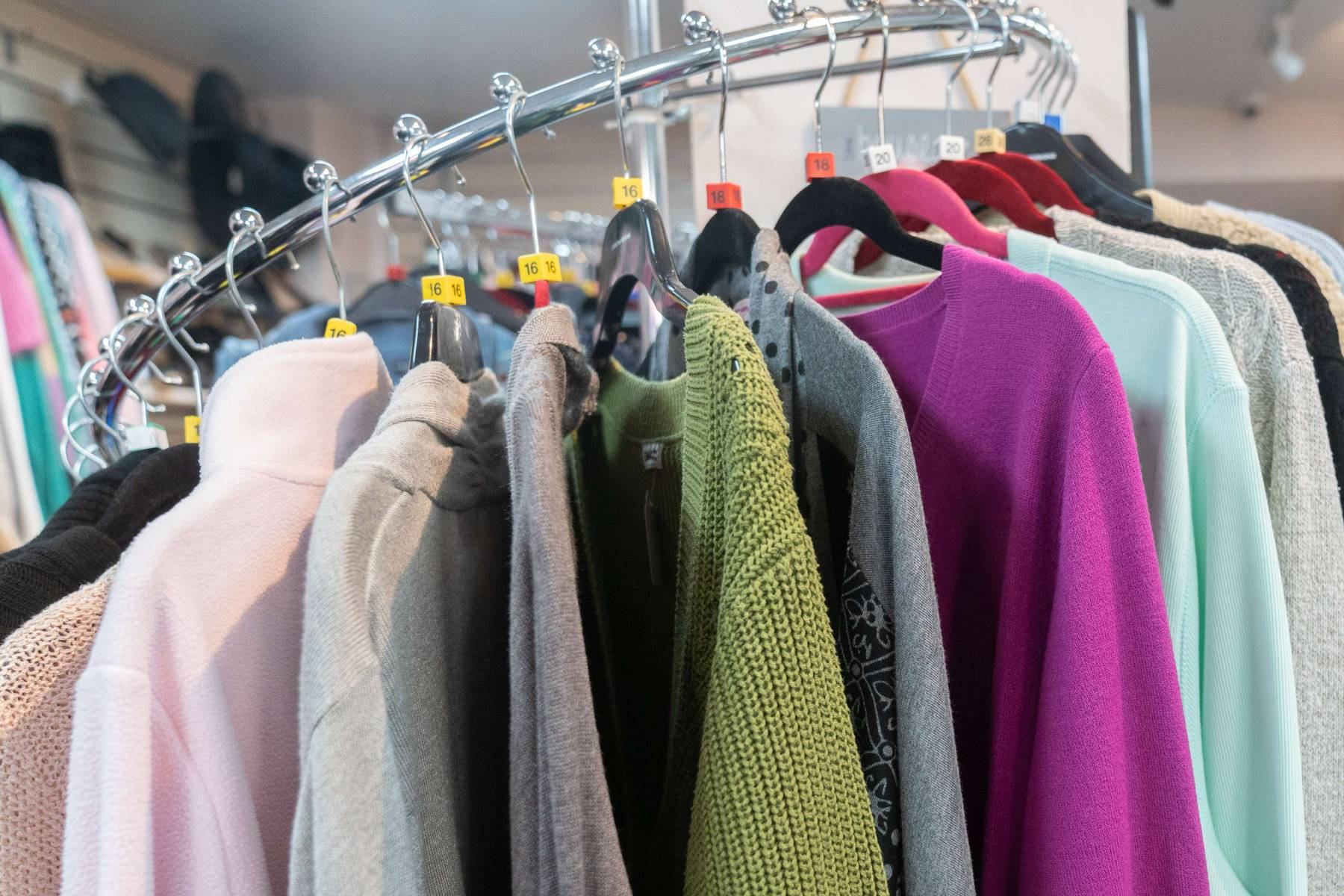 An image of clothing